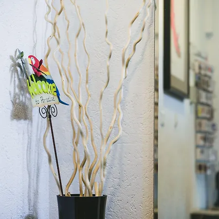 柏林安比特酒店 3* 柏林